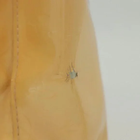 LOUIS VUITTON Monogram Vernis Reade PM Bag Marshmallow Pink Auth - Picture 13 of 16